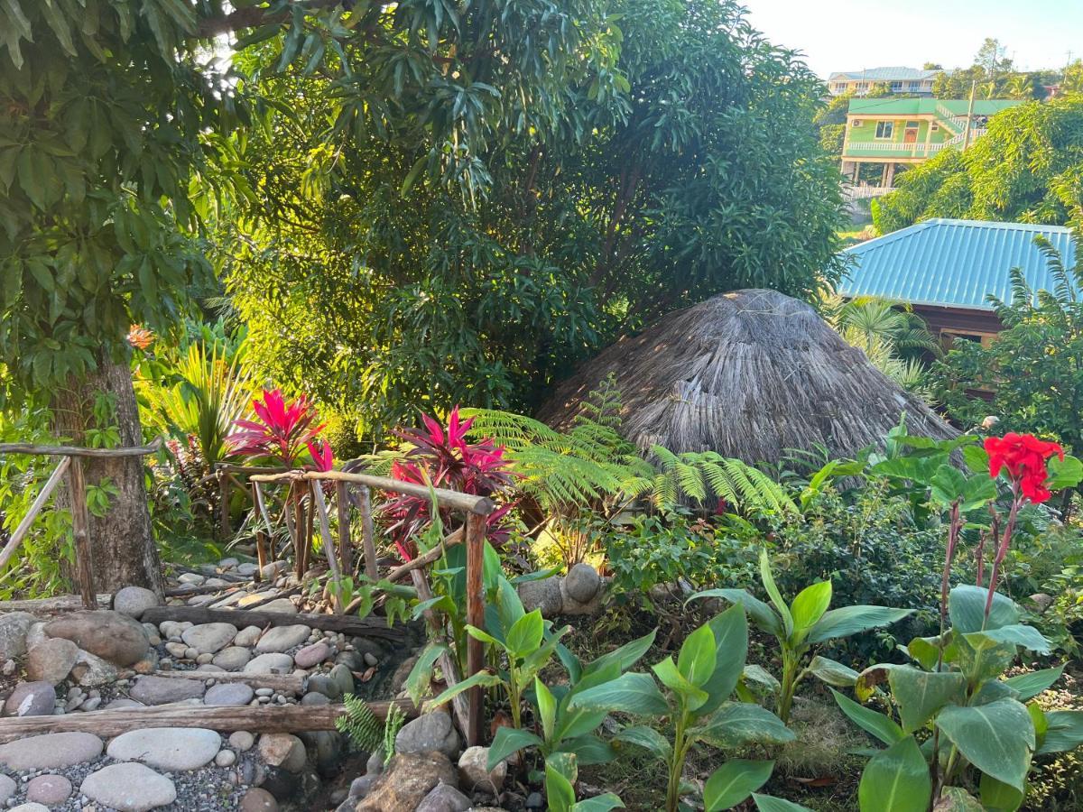 Orchid Resort Ltd Guillet المظهر الخارجي الصورة