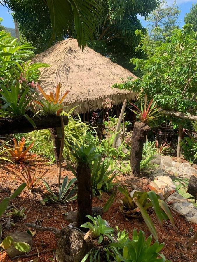 Orchid Resort Ltd Guillet المظهر الخارجي الصورة
