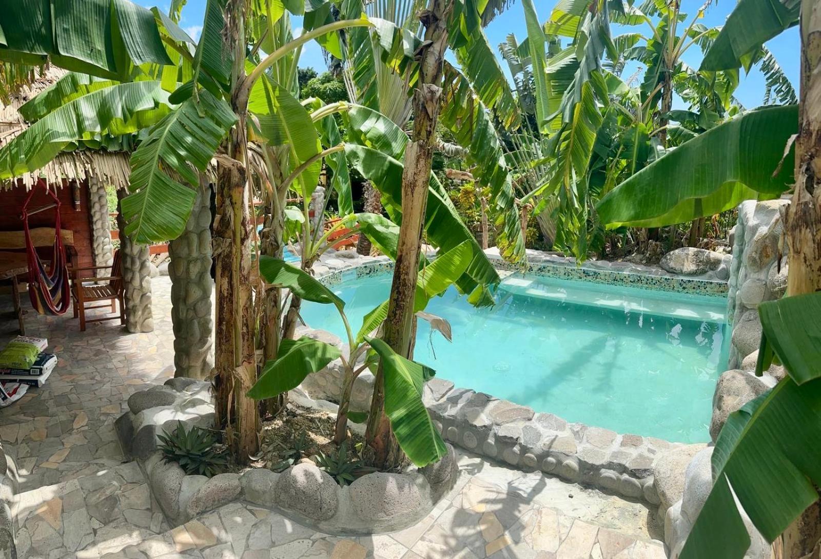 Orchid Resort Ltd Guillet المظهر الخارجي الصورة